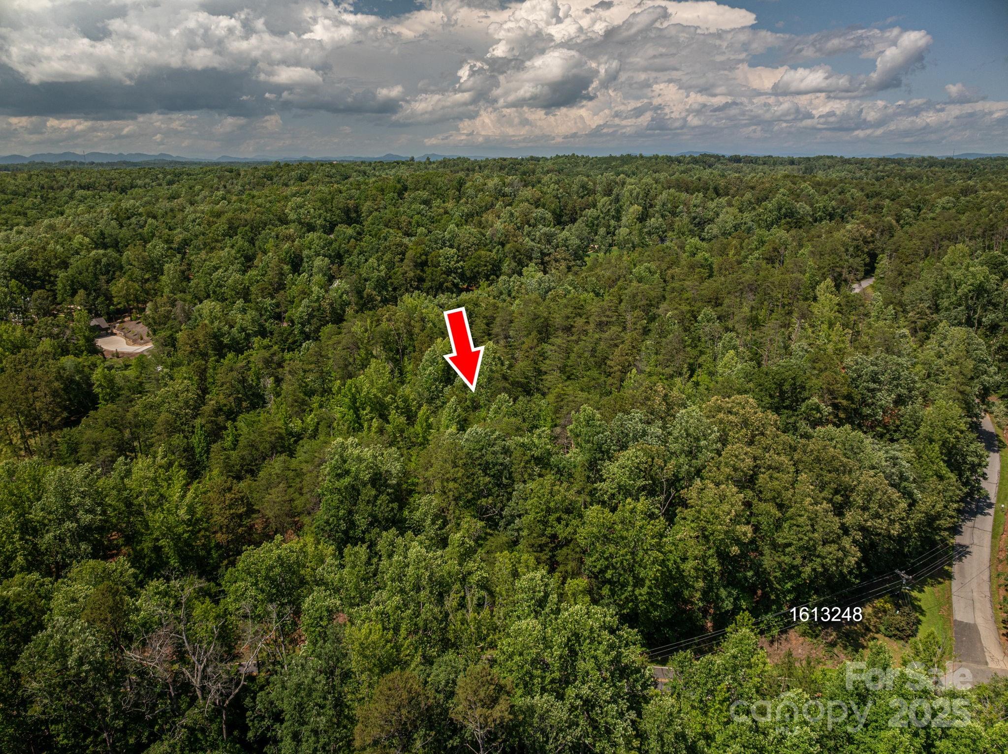 Lot 7 Cleghorn Mill Road Rutherfordton, NC 28139 - Photo 6 of 22