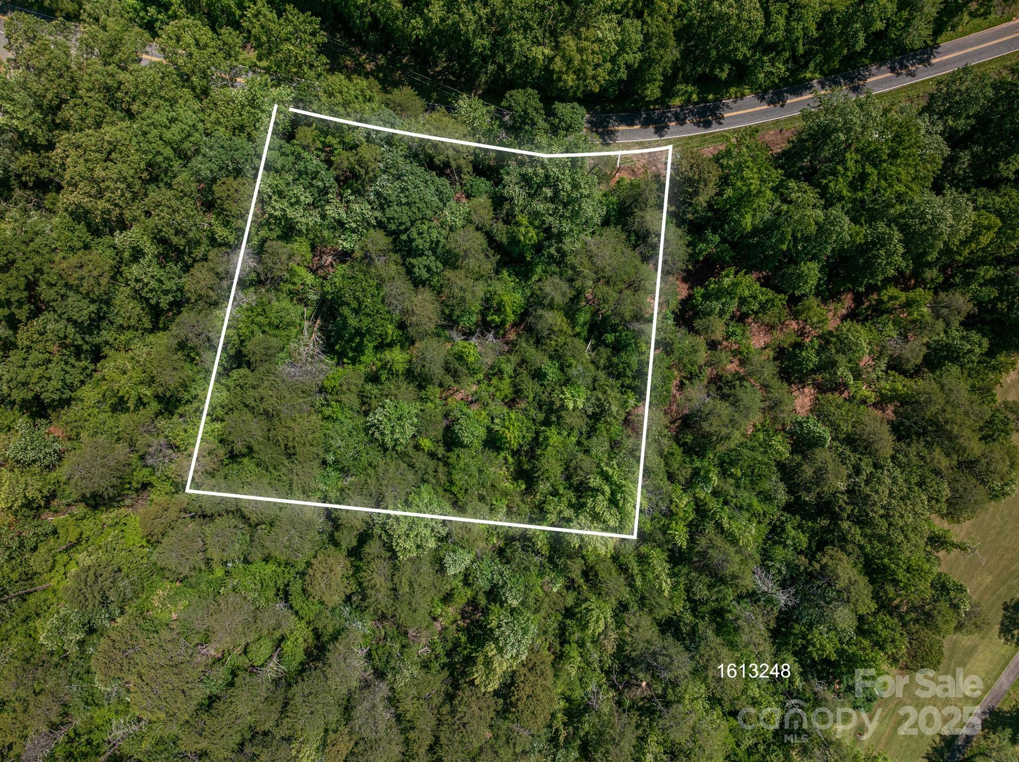 Lot 7 Cleghorn Mill Road Rutherfordton, NC 28139 - Photo 7 of 22