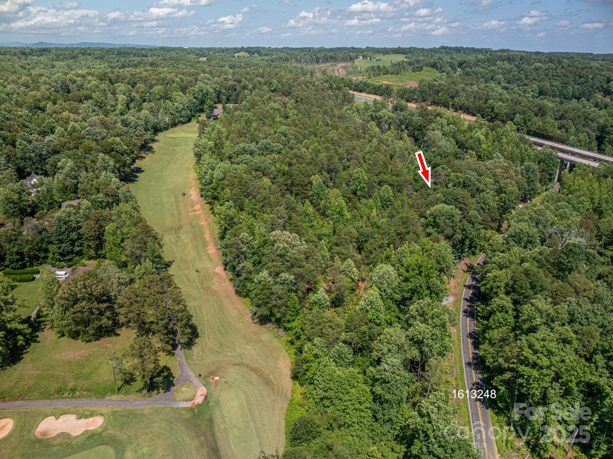 Lot 7 Cleghorn Mill Road Rutherfordton, NC 28139 - Photo 9 of 22