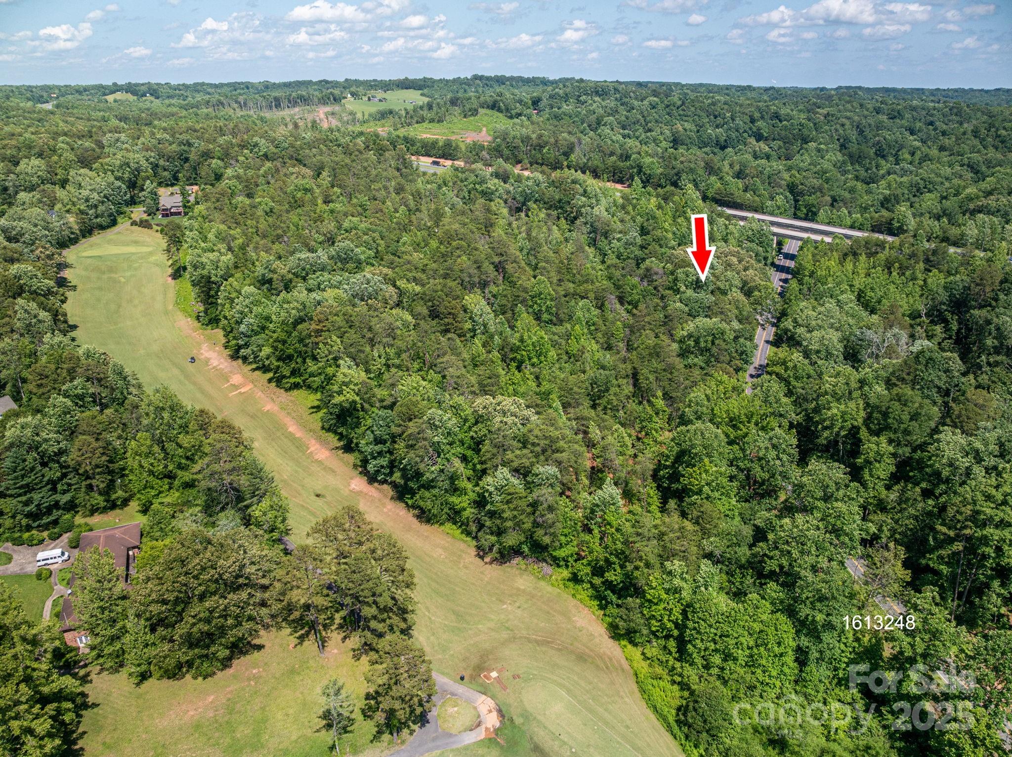 Lot 7 Cleghorn Mill Road Rutherfordton, NC 28139 - Photo 10 of 22