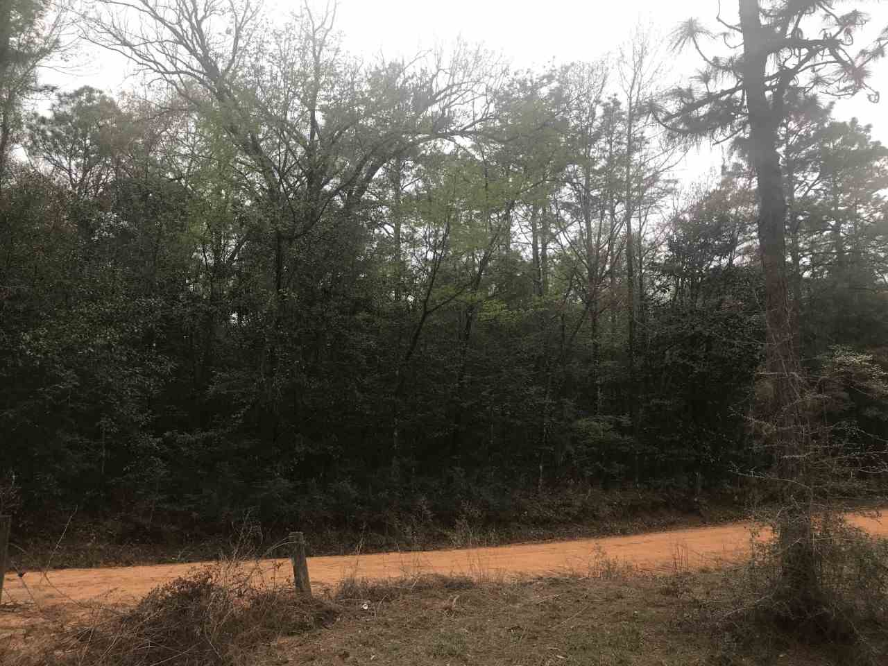0 Pine Treat Road Bay Minette, AL 36507 - Photo 6 of 6 Pinetreat Frontage View