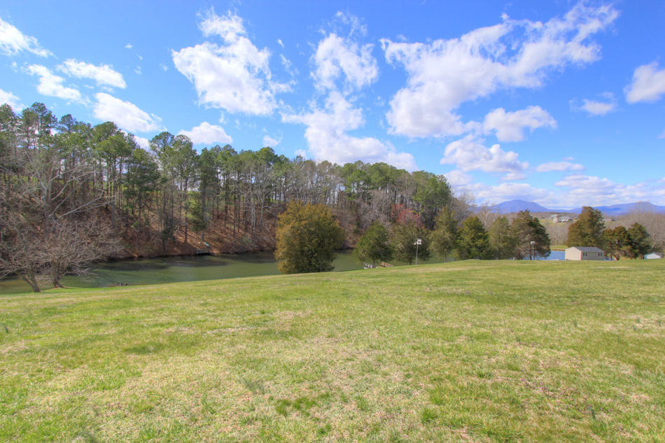 208 Longhill Road Goode, VA 24556 - Photo 16 of 59 a view of a big yard with lots of green space