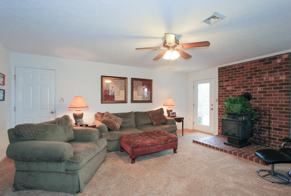 208 Longhill Road Goode, VA 24556 - Photo 50 of 59 a living room with furniture a fireplace and a potted plant