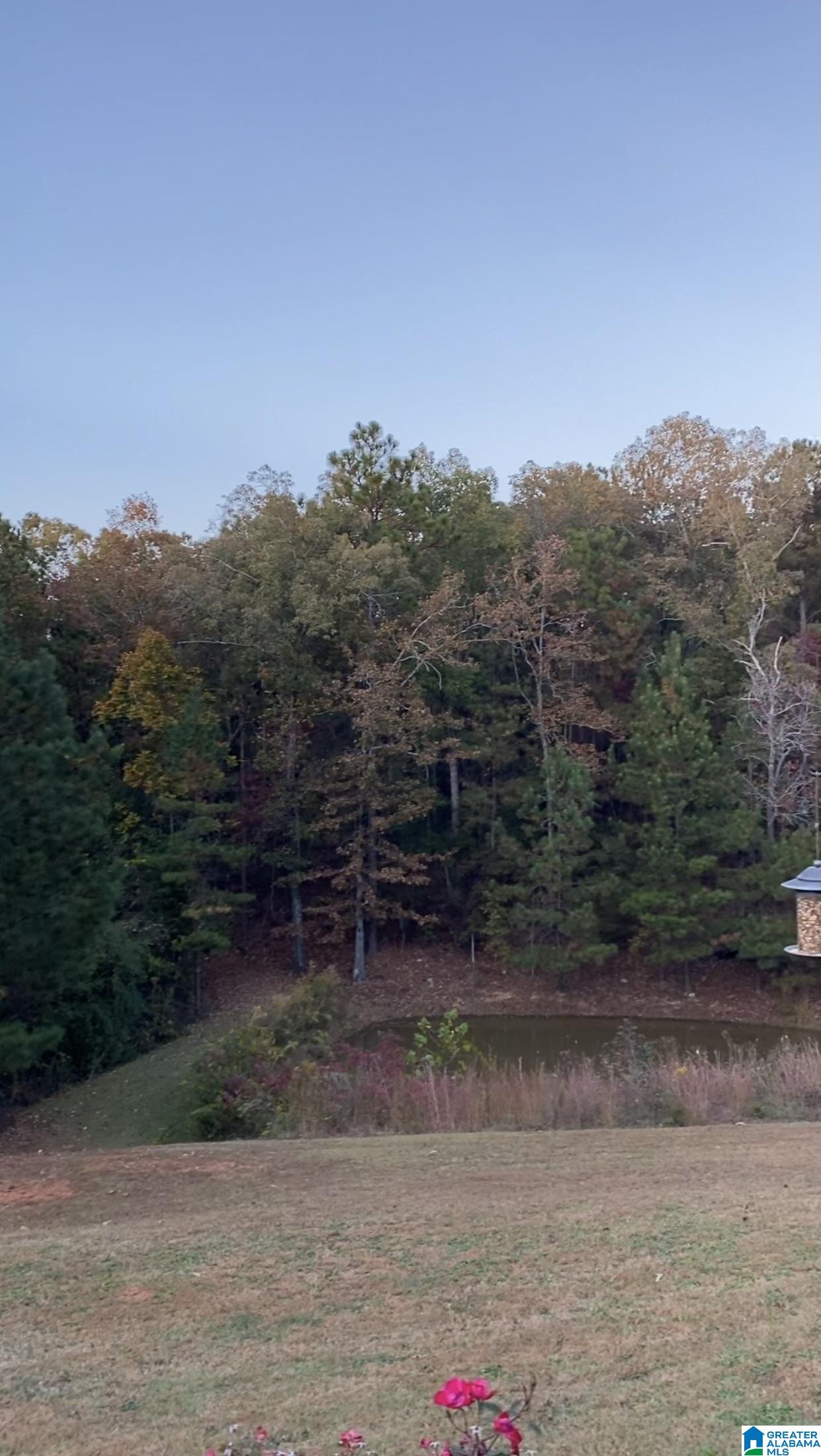 3041 Allison Mill Road Talladega, AL 35160 - Photo 30 of 37