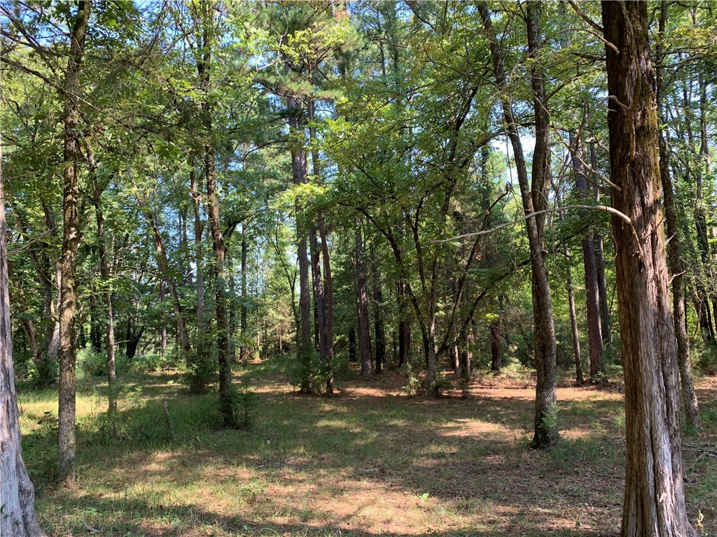 779 Fort Charlotte Road Mount Carmel, SC 29840 - Photo 24 of 25