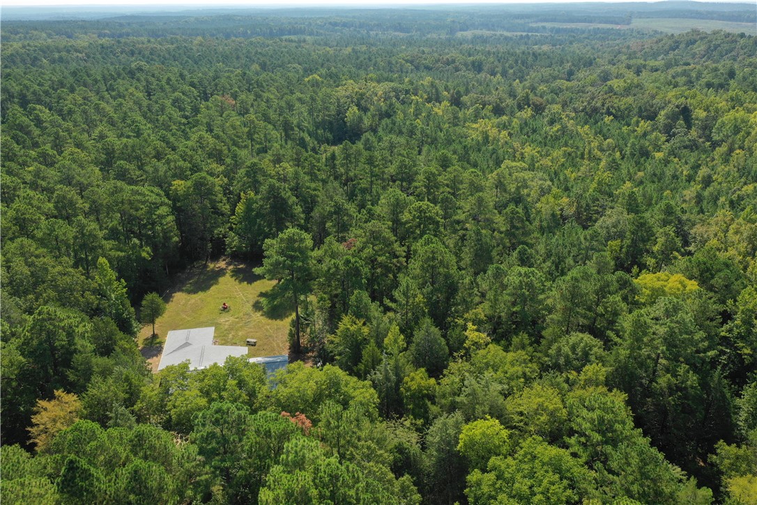 779 Fort Charlotte Road Mount Carmel, SC 29840 - Photo 3 of 25