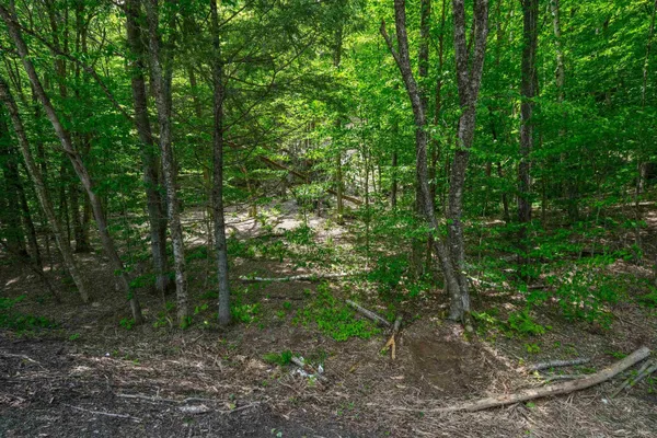 $15,000 | 0 Route 100 N Plymouth Vt 05056, Plymouth, VT 05056