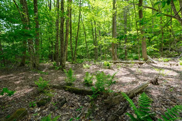 $15,000 | 0 Route 100 N Plymouth Vt 05056, Plymouth, VT 05056