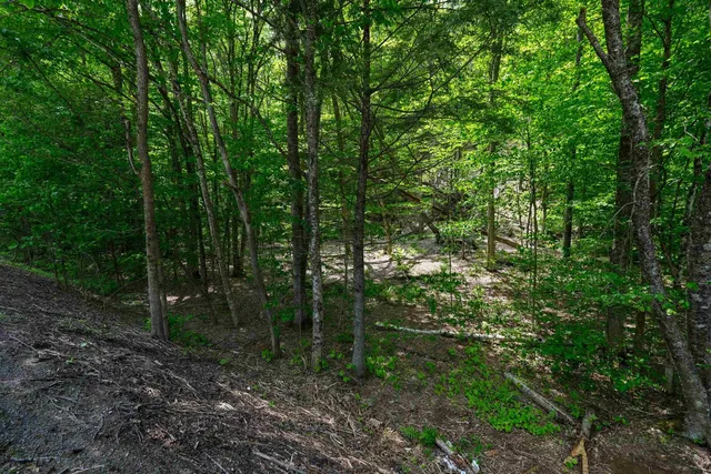 $15,000 | 0 Route 100 N Plymouth Vt 05056, Plymouth, VT 05056