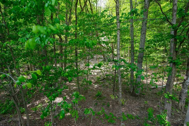 $15,000 | 0 Route 100 N Plymouth Vt 05056, Plymouth, VT 05056