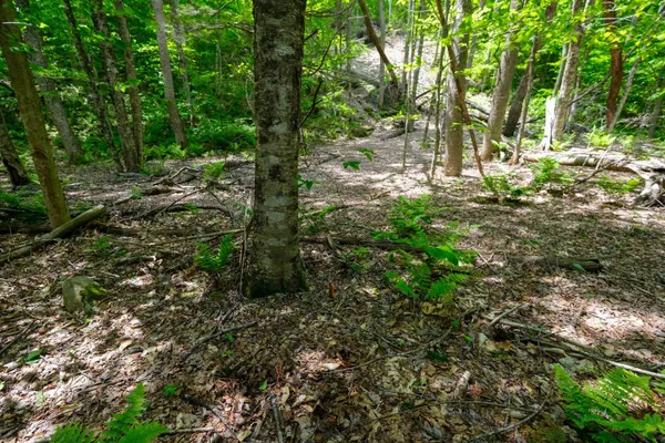 $15,000 | 0 Route 100 N Plymouth Vt 05056, Plymouth, VT 05056