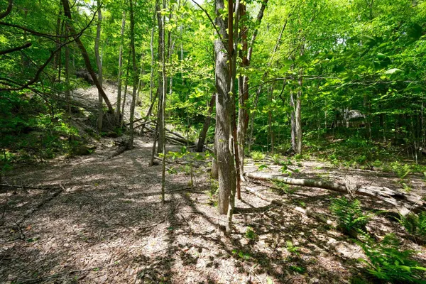 $15,000 | 0 Route 100 N Plymouth Vt 05056, Plymouth, VT 05056