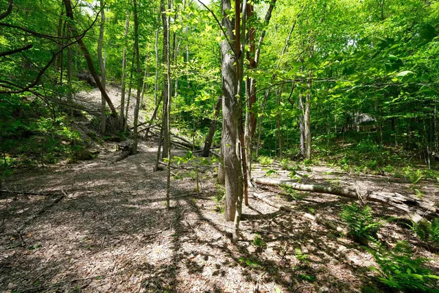 $15,000 | 0 Route 100 N Plymouth Vt 05056, Plymouth, VT 05056