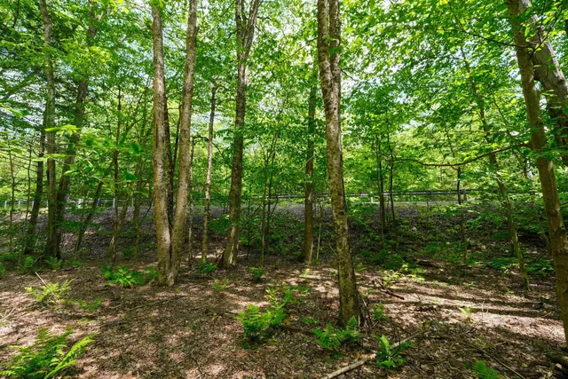 $15,000 | 0 Route 100 N Plymouth Vt 05056, Plymouth, VT 05056