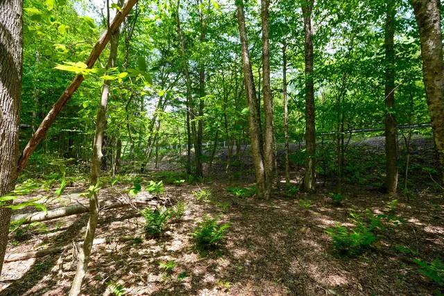 $15,000 | 0 Route 100 N Plymouth Vt 05056, Plymouth, VT 05056