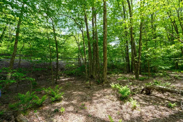 $15,000 | 0 Route 100 N Plymouth Vt 05056, Plymouth, VT 05056