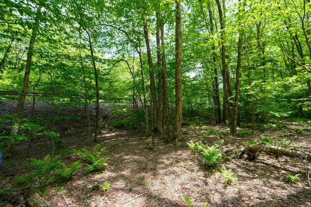 $15,000 | 0 Route 100 N Plymouth Vt 05056, Plymouth, VT 05056