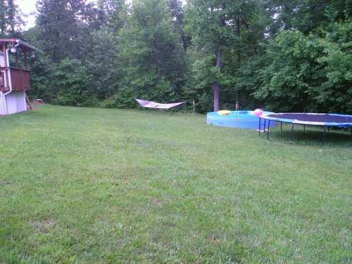 309 Chipmunk Road Evans City, PA 16033 - Photo 5 of 8 Yard/Garden.