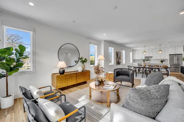 a living room with furniture a rug potted plant and a painting on the wall