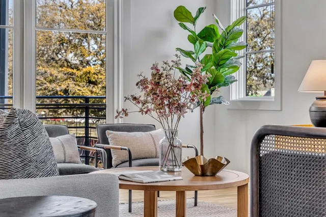 a living room with furniture and a potted plant