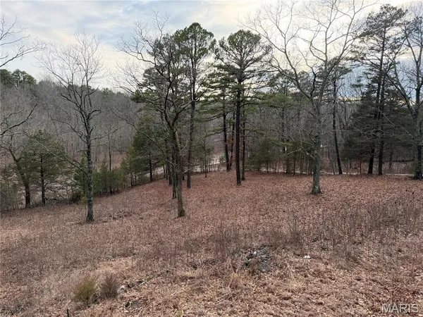 $304,900 | 20165 State Hwy AA, Potosi, MO 63664