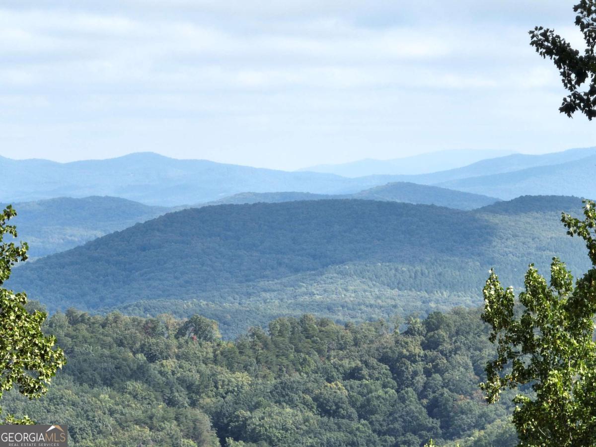 280 Andes Ridge Talking Rock, GA 30175 - Photo 9 of 45
