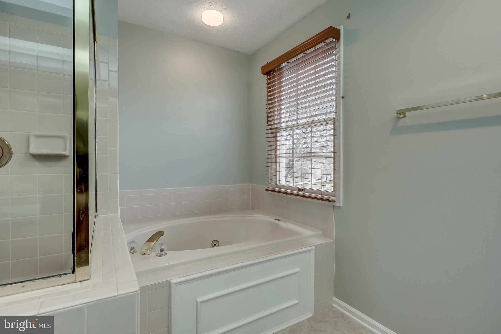 10241 Wetherburn Road Ellicott City, MD 21042 - Photo 27 of 45 Primary Bath