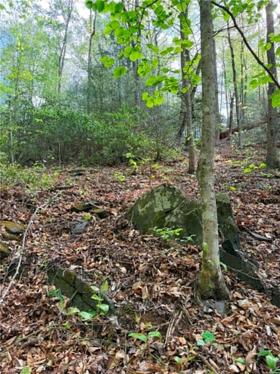 Tbd Shoe Road Millers Creek, NC 28651 - Photo 10 of 18
