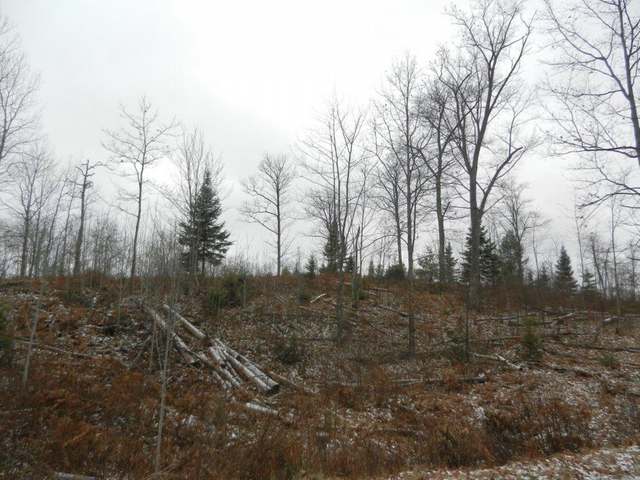 30-acres Blue Lake Road Minocqua, WI 54548 - Photo 1 of 5 Gallery Image 1