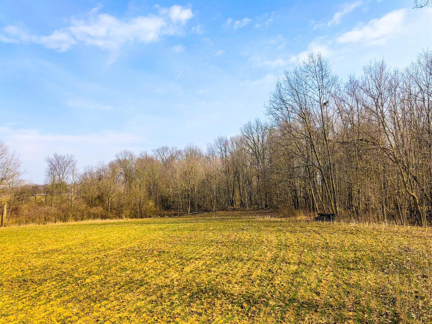 14032 Sager Road Chelsea, MI 48118 - Photo 6 of 8 Photo 6