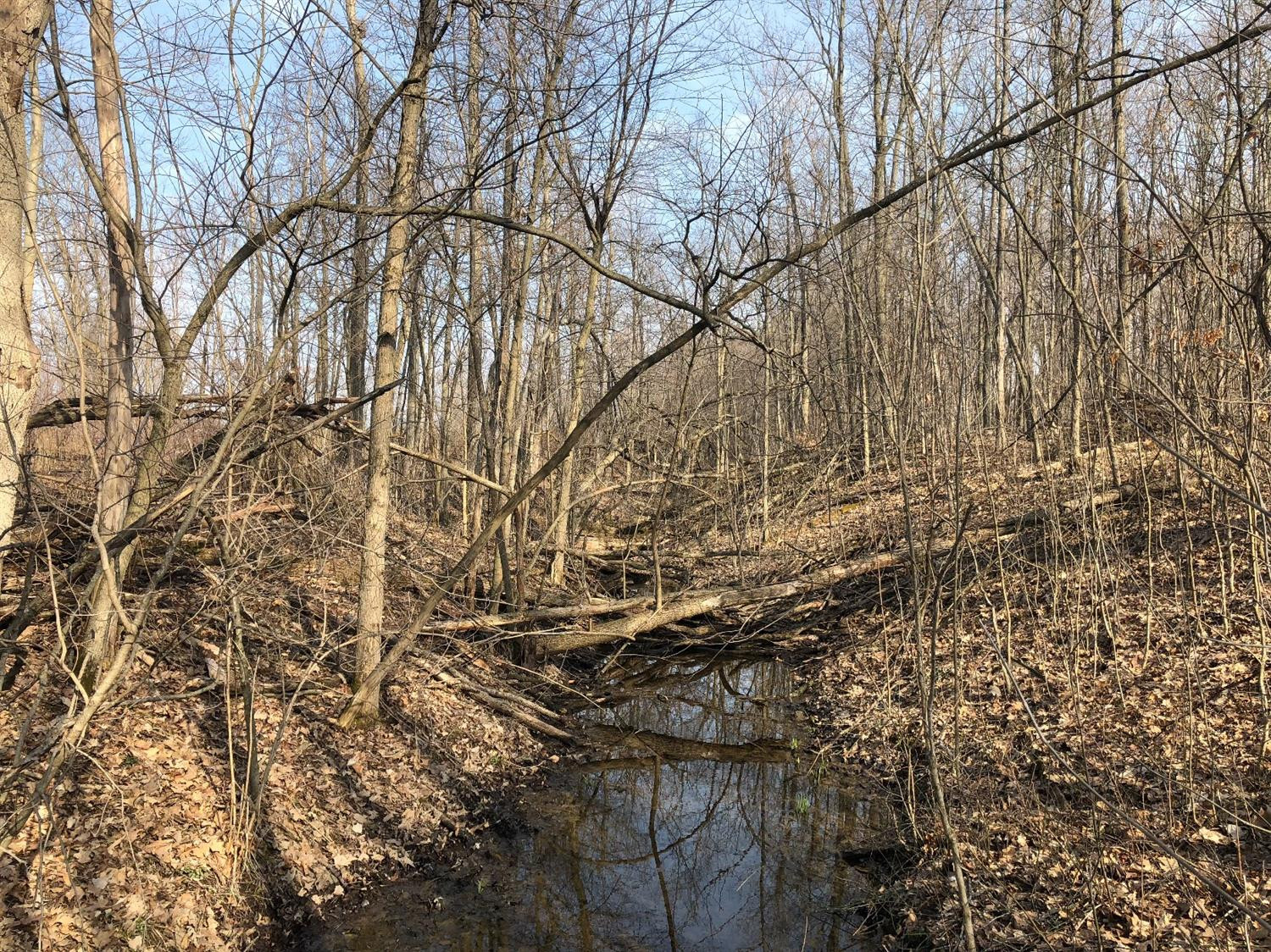 14032 Sager Road Chelsea, MI 48118 - Photo 8 of 8 Photo 8