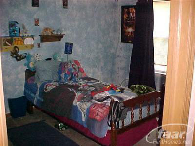 8358 South Reese Road Birch Run, MI 48415 - Photo 9 of 10 20234590-8.JPG