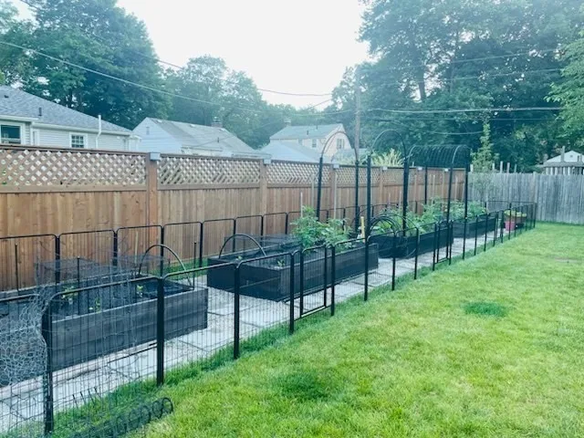 a view of a backyard