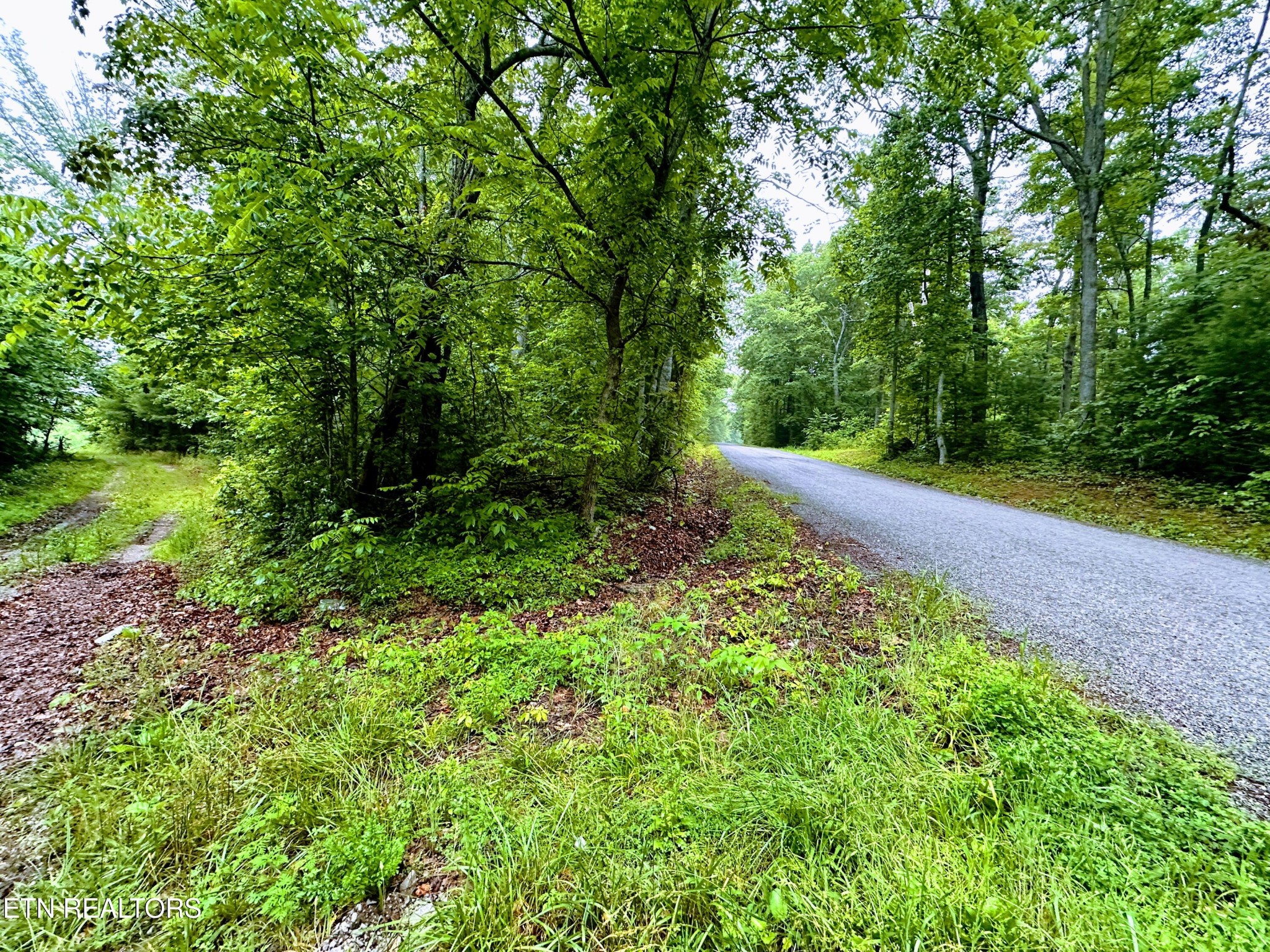1344 Chestnut Ridge Road Allardt, TN 38504 - Photo 5 of 8
