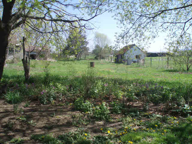 599 Battlefield Road New Hope, VA 24437 - Photo 12 of 12 a view of a house with a backyard