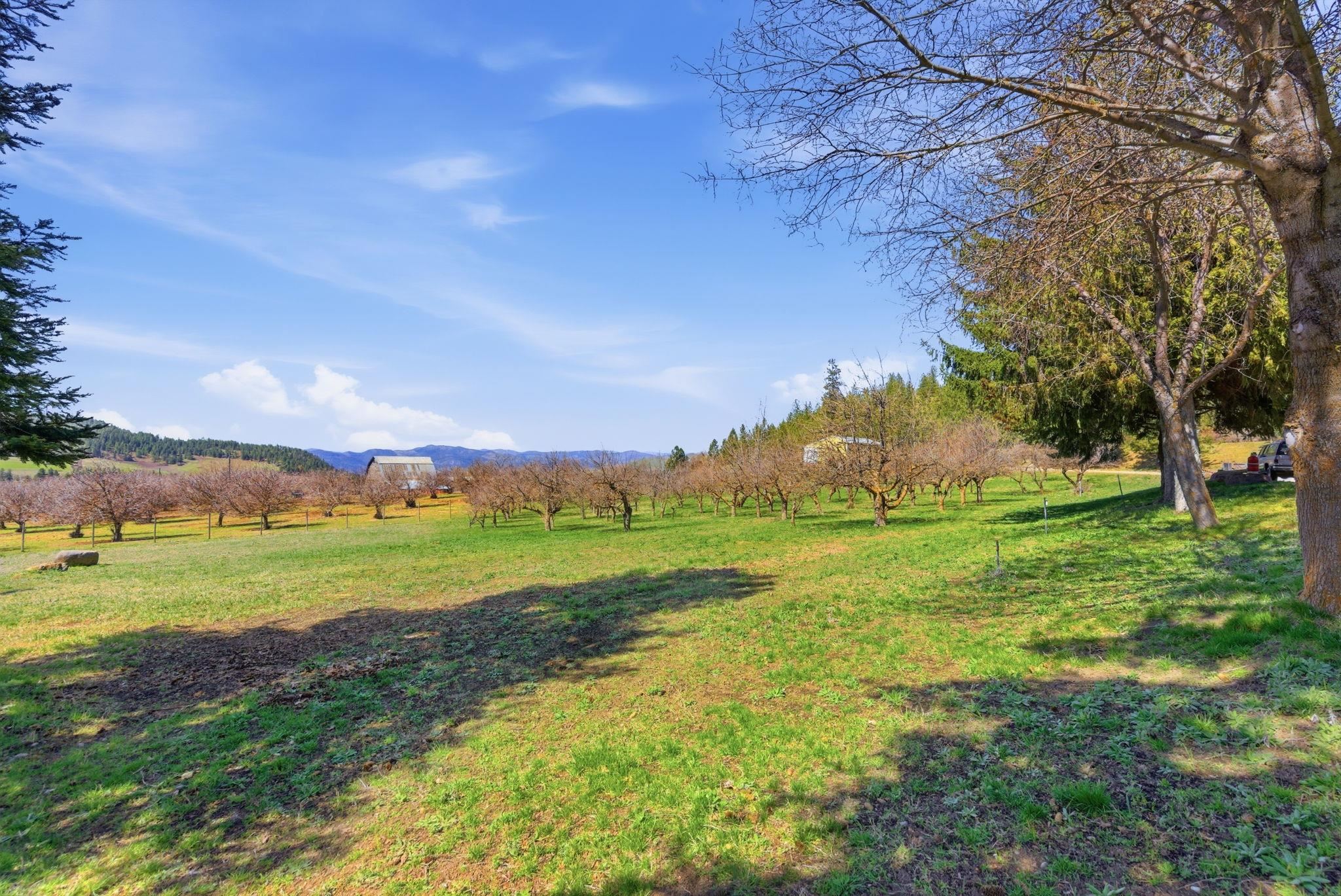 5864 Cedar Canyon Road Fruitland, WA 99129 - Photo 21 of 34 Gallery Image 21