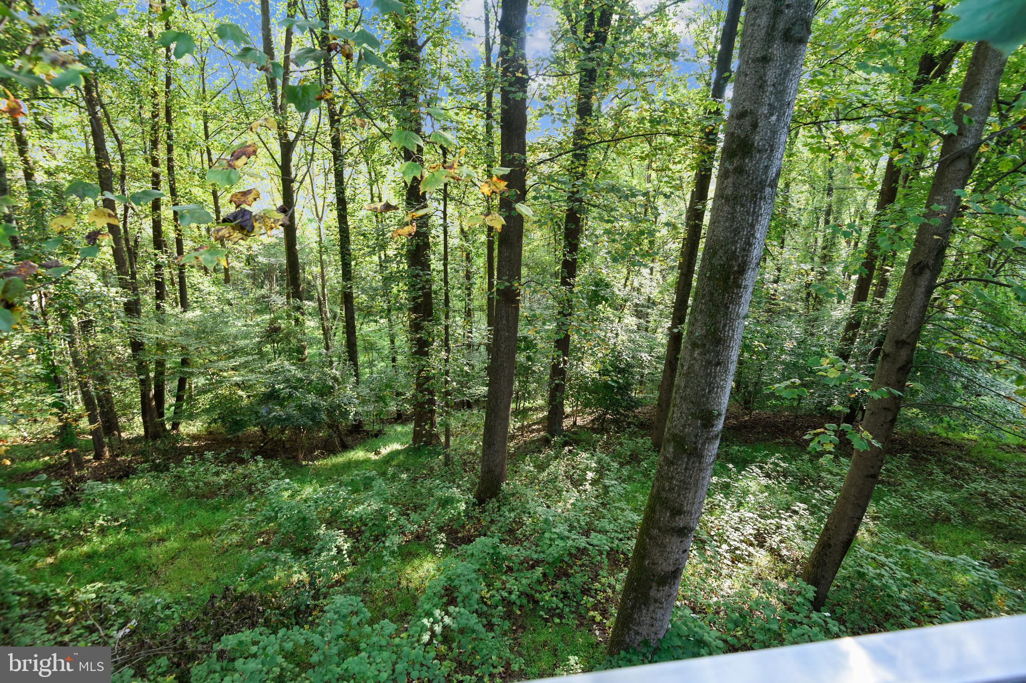 1334 Potomac School Road McLean, VA 22101 - Photo 54 of 61 View from Balcony