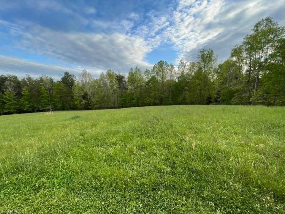 2068 Bowen Road Pinnacle, NC 27043 - Photo 23 of 50
