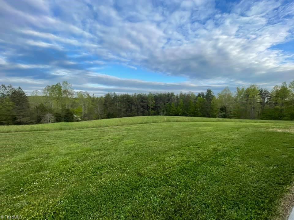 2068 Bowen Road Pinnacle, NC 27043 - Photo 27 of 50