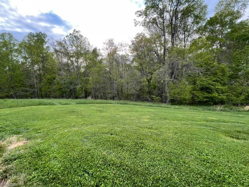 2068 Bowen Road Pinnacle, NC 27043 - Photo 40 of 50