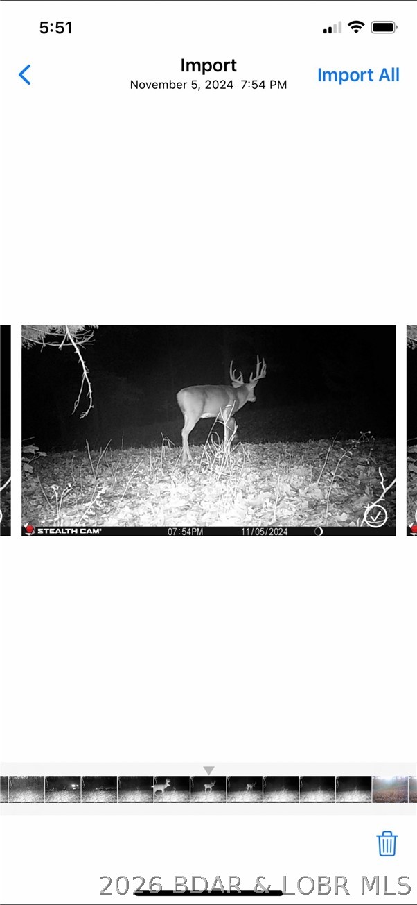 3182 Big Buffalo Road Stover, MO 65078 - Photo 58 of 59 trail cam photos
