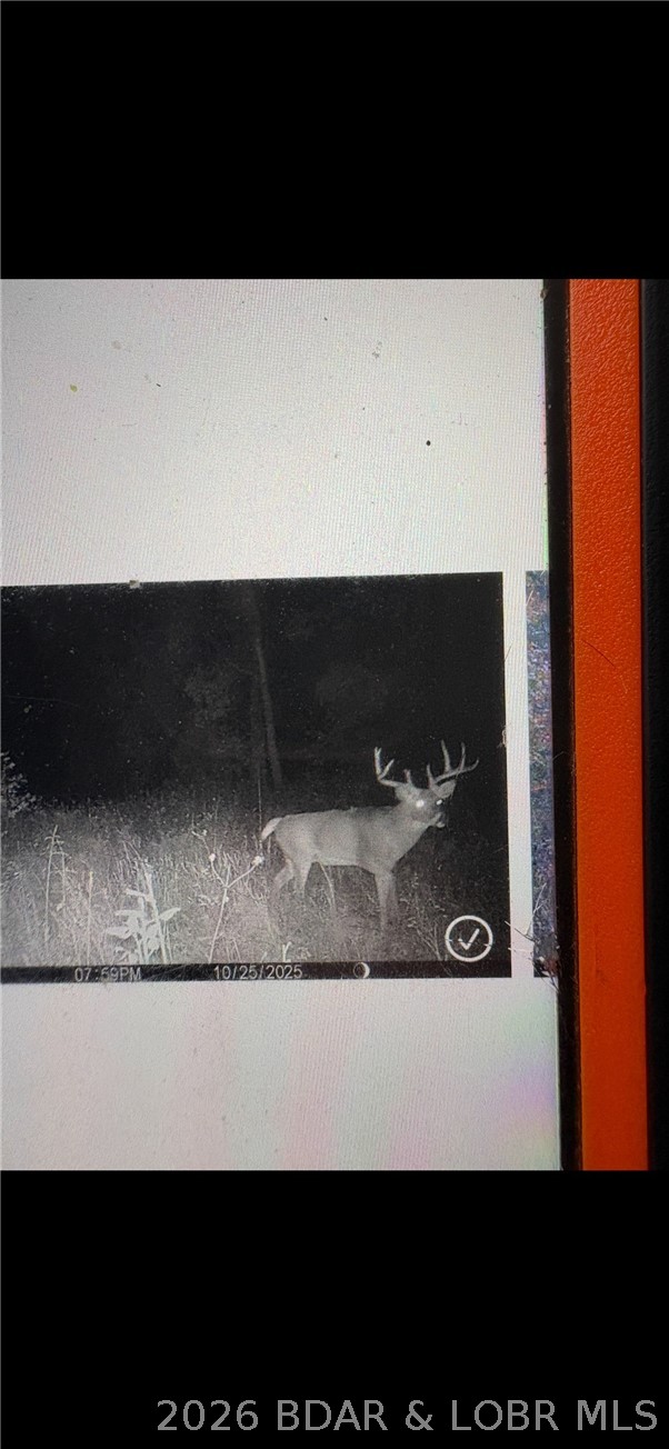 3182 Big Buffalo Road Stover, MO 65078 - Photo 59 of 59