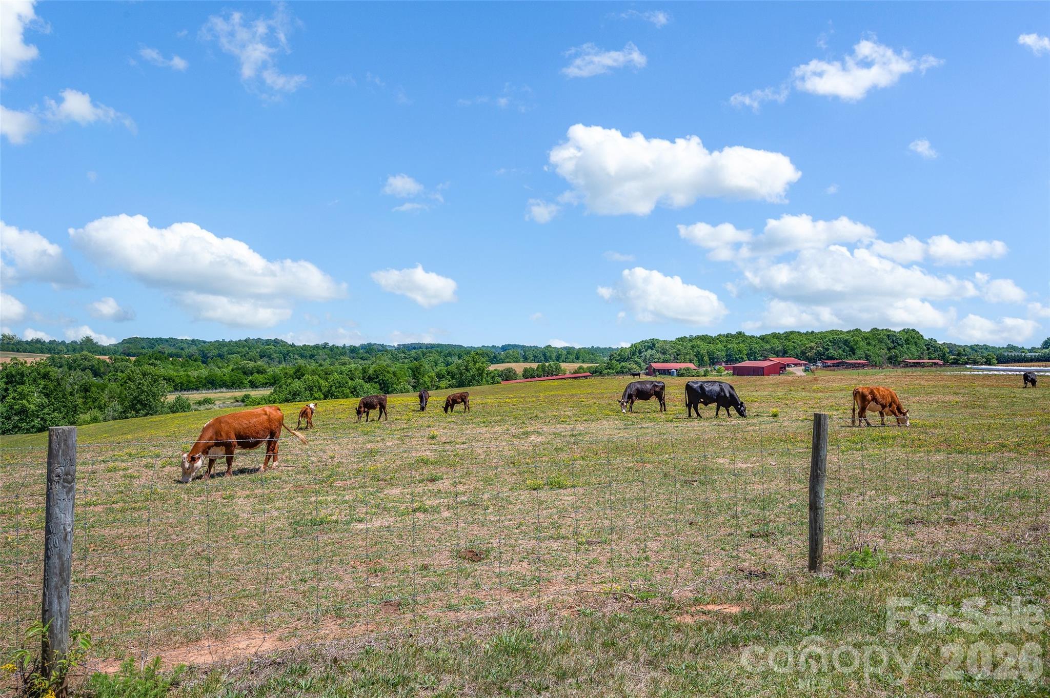 359 Rash Road Olin, NC 28660 - Photo 5 of 46