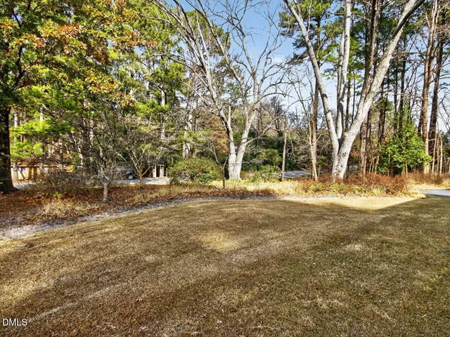 a view of yard with tree