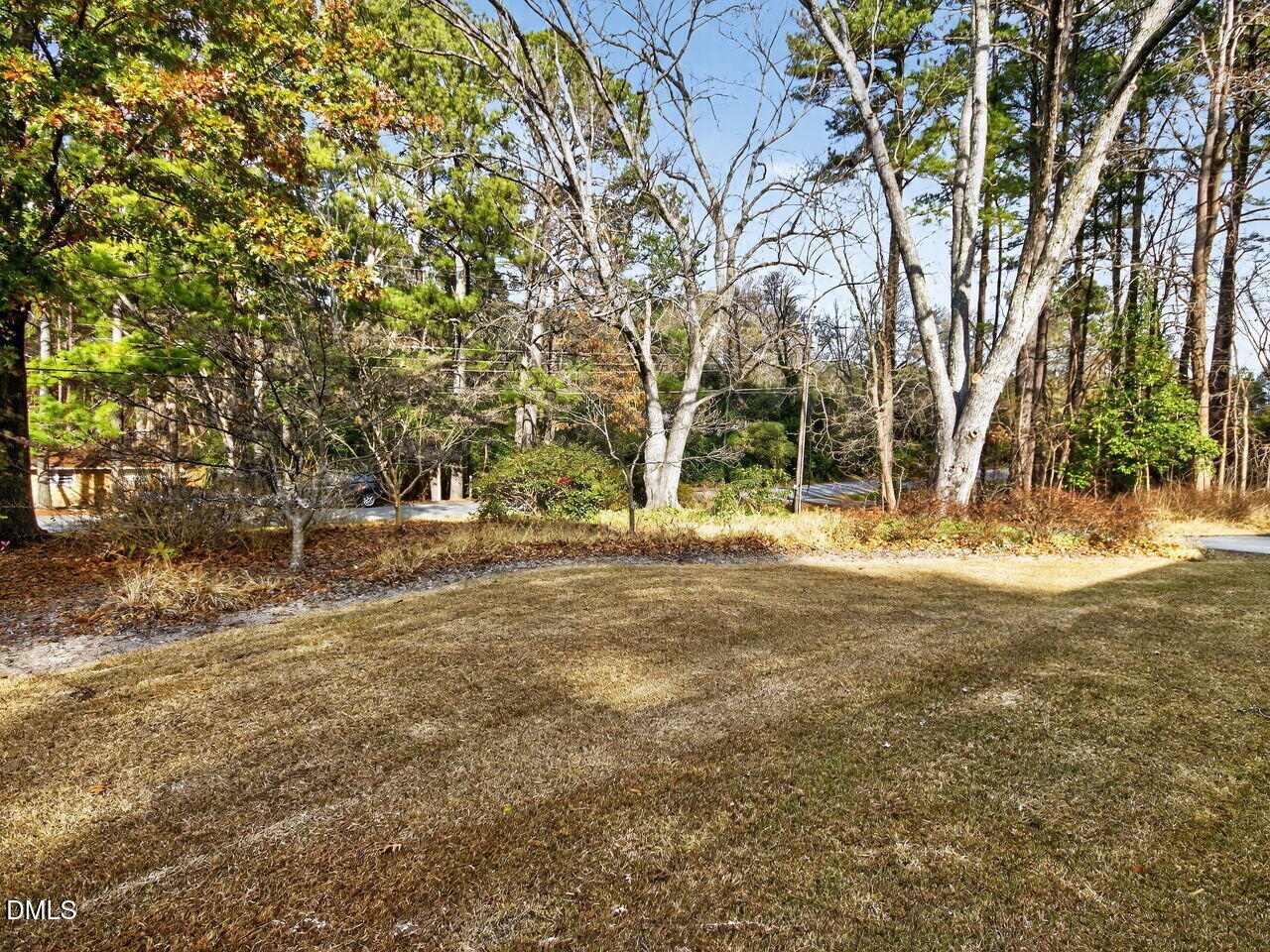 1123 Horseshoe Road Durham, NC 27703 - Photo 19 of 35 a view of yard with tree