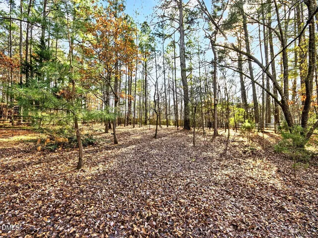a view of outdoor space with trees