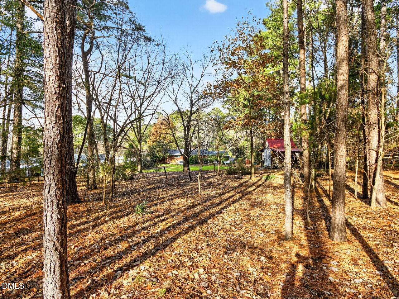 1123 Horseshoe Road Durham, NC 27703 - Photo 23 of 35 a view of a yard with trees