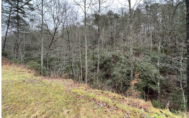 Additional View