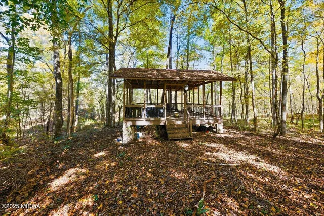 a view of a backyard