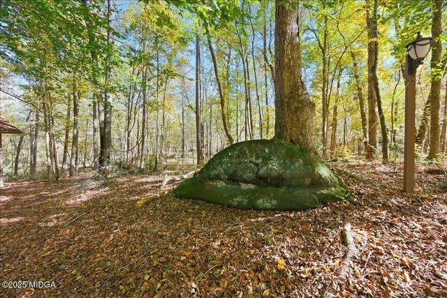 a backyard of a house with lots of green space